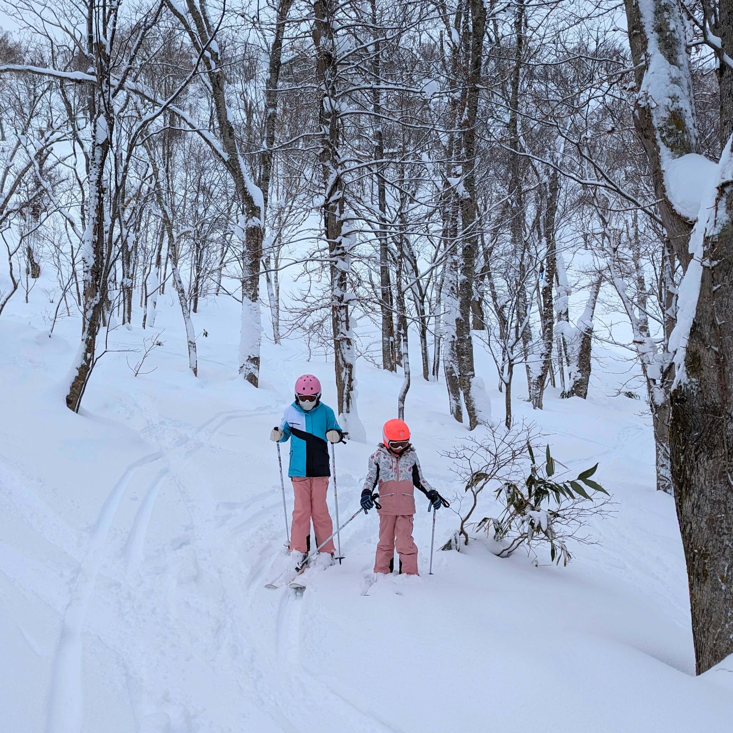 ROAM NISEKO